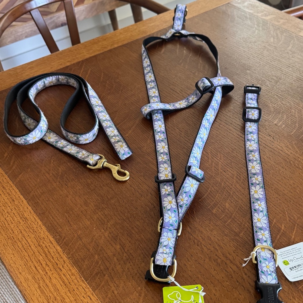 Up Country Collar, Harness and Leash - NWT - Large Dog